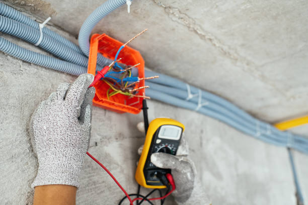 Best Electric Panel Repair  in Preston, IA